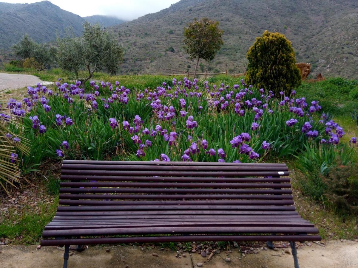 El Retiro De Isabel Pension Embid de la Ribera Buitenkant foto